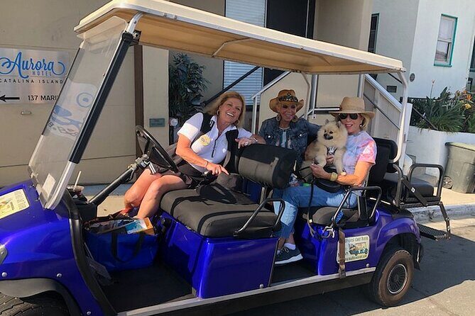 Private Guided Golf Cart Tour of Avalon - The Experience: What You’ll Love