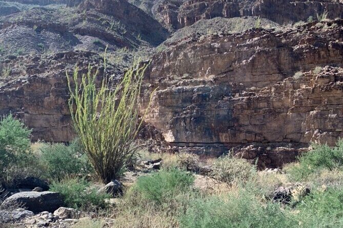 Private Guided Grand Canyon Tour in Arizona - An Overview: What to Expect from the Tour