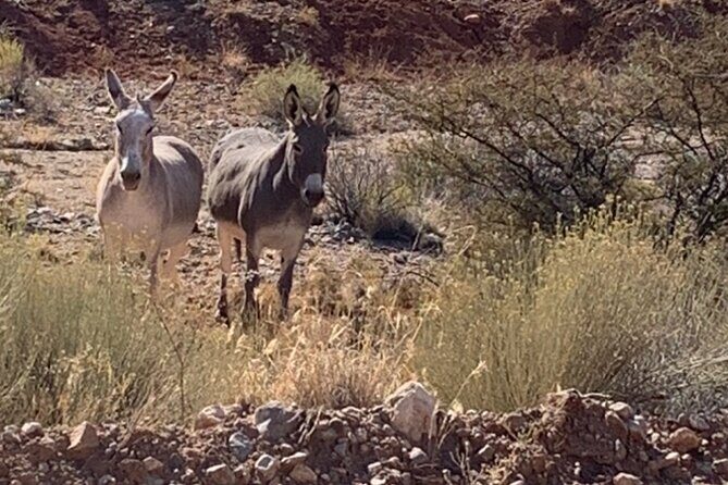 Private Guided Grand Canyon Tour in Arizona - FAQ