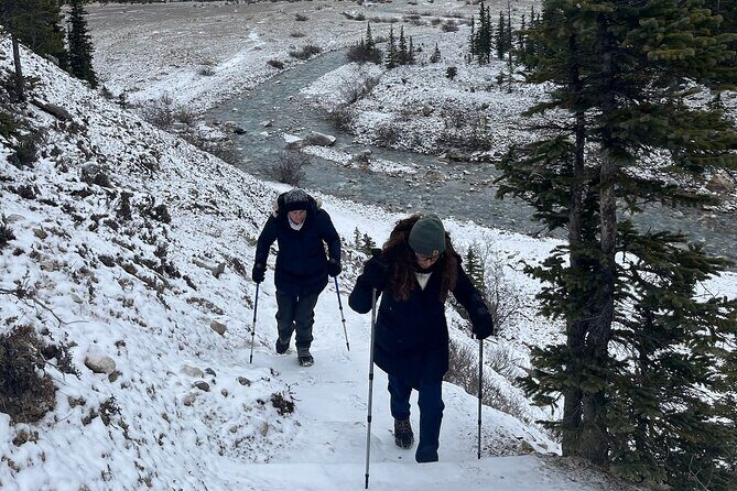 Private Guided Hike: Adventure & Wellness in Banff - The Practical Details