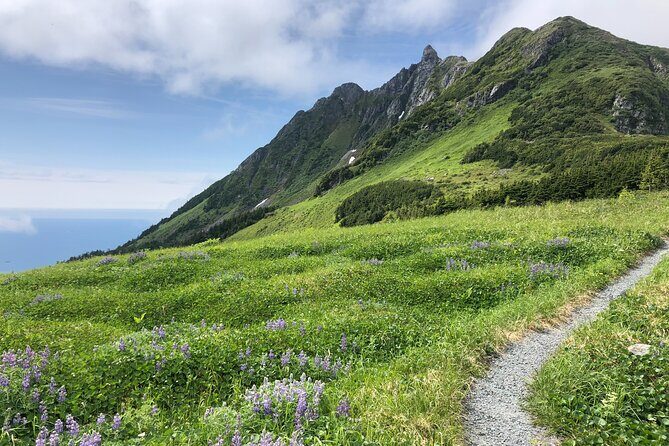 Private Guided Hike in Sitka, Alaska - Key Points