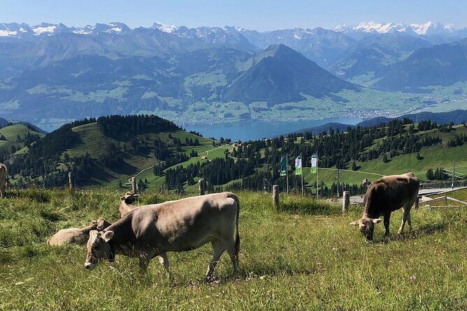 Private Guided Hike on Mt. Rigi with Farm Visit and BBQ - Final Thoughts
