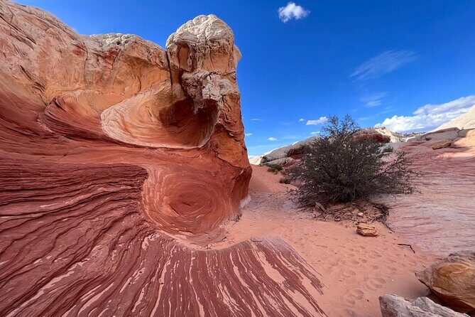 Private Guided Hike through White Pocket Off Road Activity - Price and Value