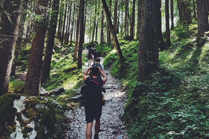 Private Guided Hiking Tour - Sequoia National Park - Final Thoughts: Who Is This Tour Perfect For?