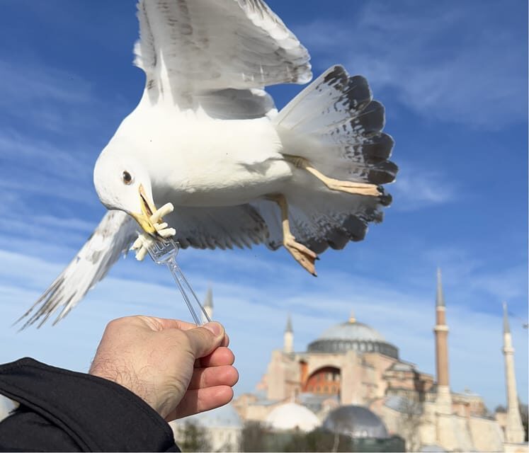 Private Guided Istanbul Luxury Tour (Tickets and Transfers) - An In-Depth Look at the Tour