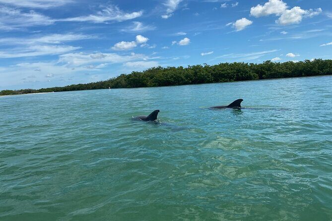 Private Guided Kayak Tour on Big Hickory Pass - Introducing the Private Guided Kayak Tour on Big Hickory Pass
