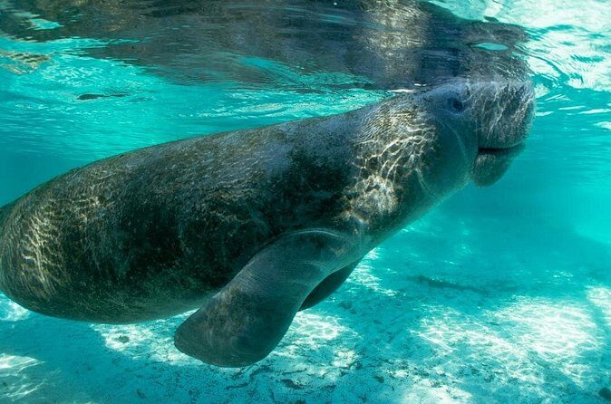 Private Guided Kayak Tour on Big Hickory Pass - Returning to the Launch Point