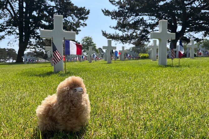 Private Guided Mont Saint Michel & D-day tour from Paris - Price and Value