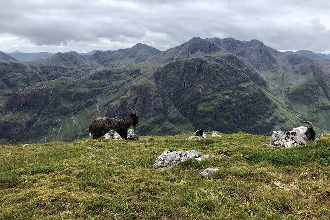 Private Guided Mountain Walking Experience in the Cairngorms - FAQ