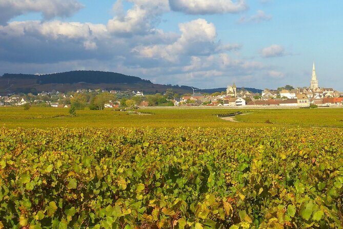Private Guided Sidecar Tour in Burgundy from Meursault - Breaking Down the Practical Details