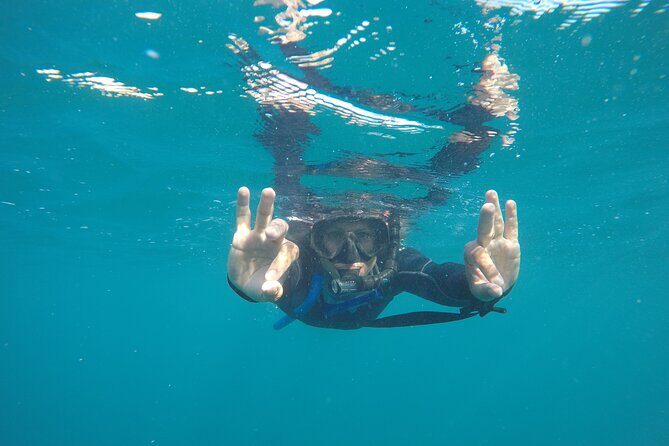 Private Guided Snorkeling in Cabo San Lucas - FAQs