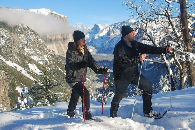 Private Guided Snowshoe Hike in Yosemite - Why Consider a Snowshoe Hike in Yosemite?