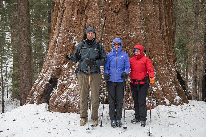 Private Guided Snowshoe Hike in Yosemite - Who Should Consider This Tour?
