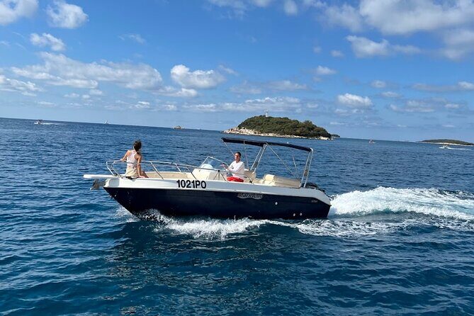 Private Guided Sunset Dolphin Watching in Adriatic Sea - The Pros and Cons