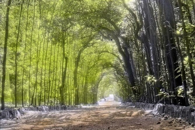 PRIVATE Guided tour: BOBOLI Gardens of the Royal Palace and Hidden Messages - FAQ