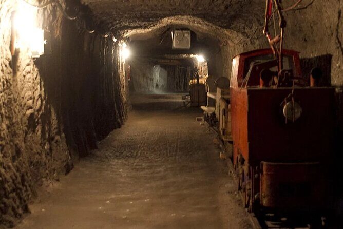 Private guided tour from Vienna to Hallstatt with Skywalk & Salt Mine Experience - Final Thoughts