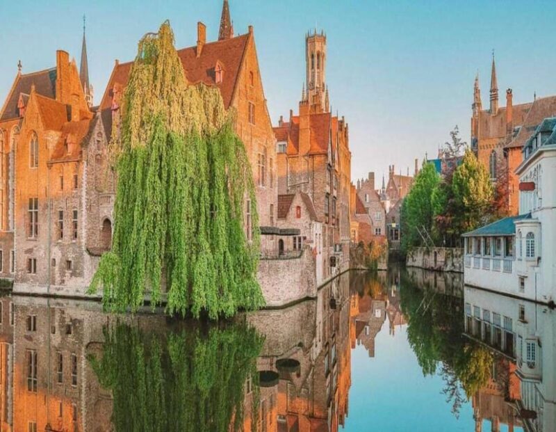 Private Guided tour Ghent and Bruges From Brussels - Why Choose This Tour? What Makes It Stand Out