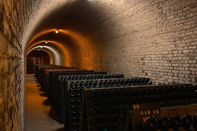 Private Guided Tour in Champagne from Paris with Moet&Chandon visit. - Frequently Asked Questions