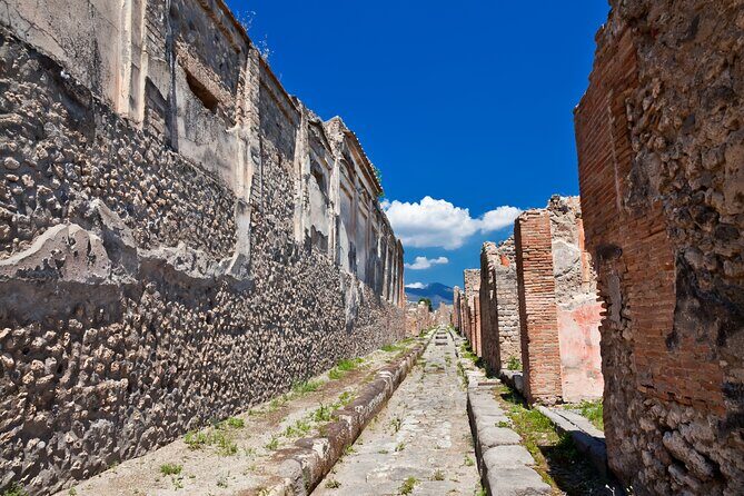 Private Guided Tour in Pompeii - Who Should Consider This Tour?