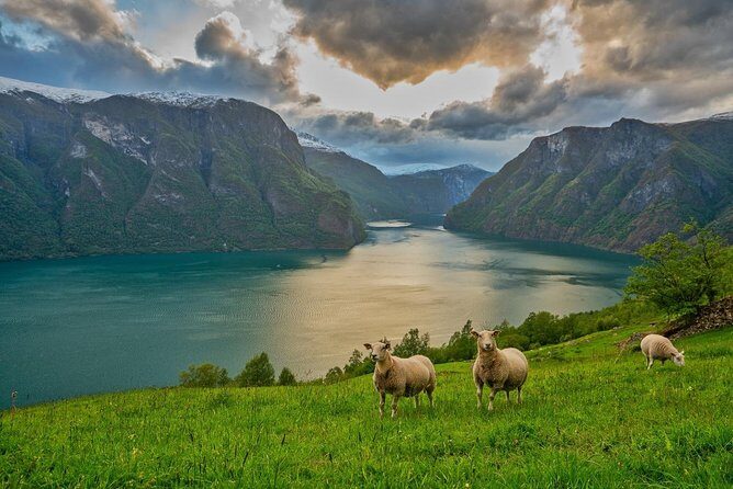PRIVATE GUIDED TOUR: Norway's Highlights  Viking Special, 11-12 hours  SUMMER - Unpacking the Experience: What to Expect from Norway’s Highlights Viking Special Tour