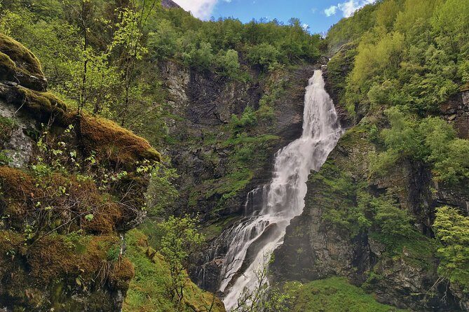 PRIVATE GUIDED TOUR: Norway's Highlights  Viking Special, 11-12 hours  SUMMER - FAQs