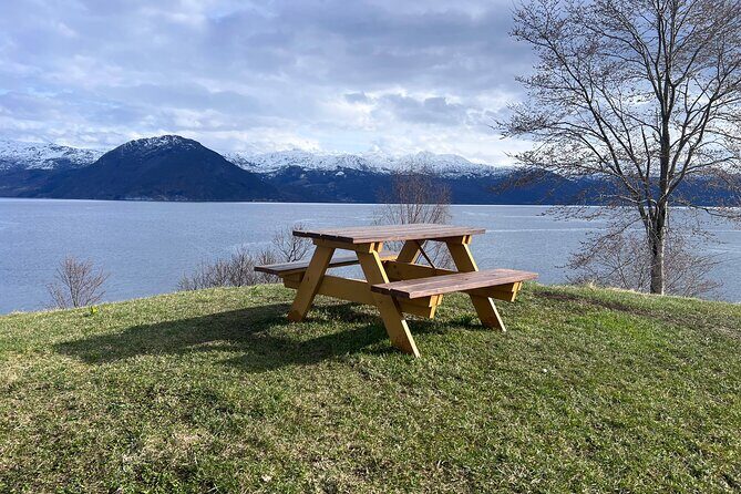 Private Guided Tour of Bergen and the Best of Norwegian Fjords - An In-Depth Look at the Tour