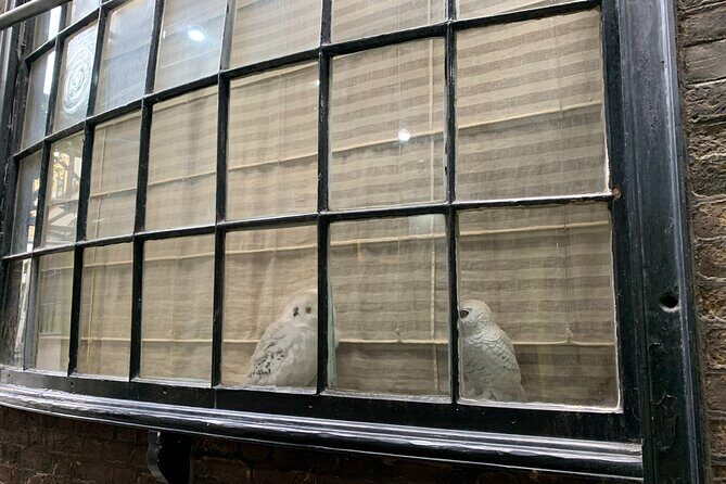 Private Guided Tour of Harry Potter Locations - English/ Italian - FAQs