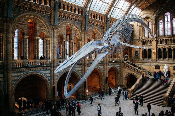 Private Guided Tour of Natural History Museum - Skip the Line - What Makes This Tour Stand Out?