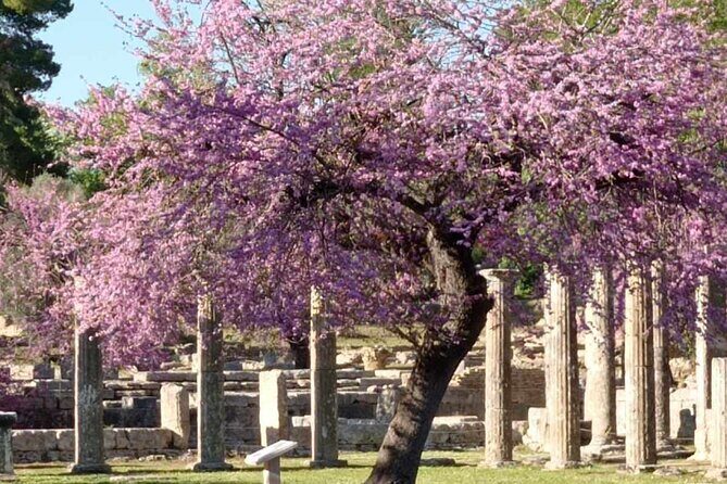 Private Guided Tour of the Archaeological Site and Museum of Olympia - Who Should Consider This Tour?