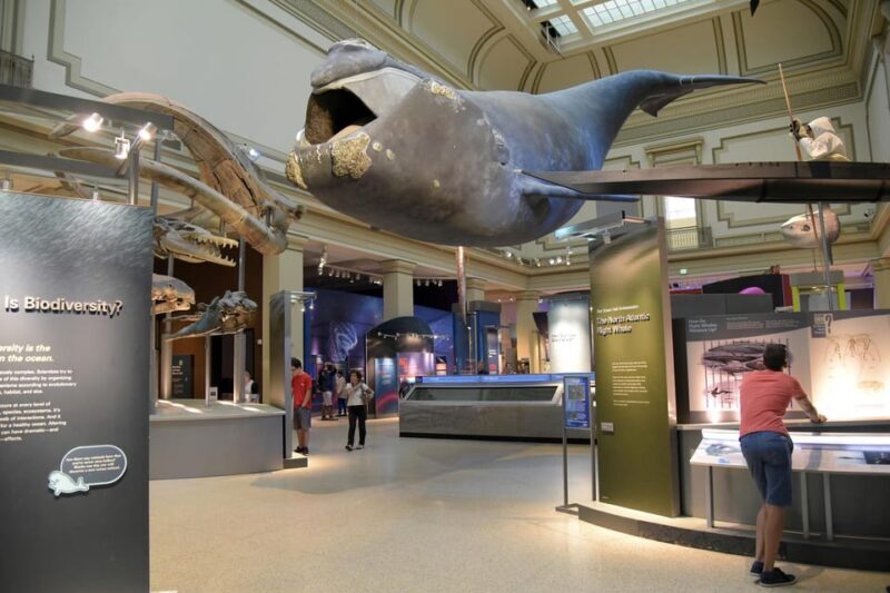 Private Guided Tour of The Natural History Museum - Who Should Consider This Tour?