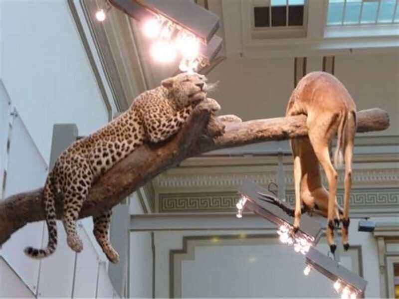 Private Guided Tour of The Natural History Museum - Frequently Asked Questions