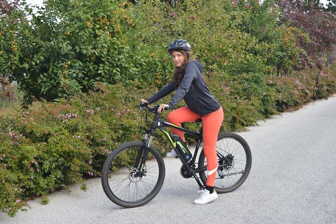 Private guided tour on Lake Como by e-bike - The Cons and Considerations
