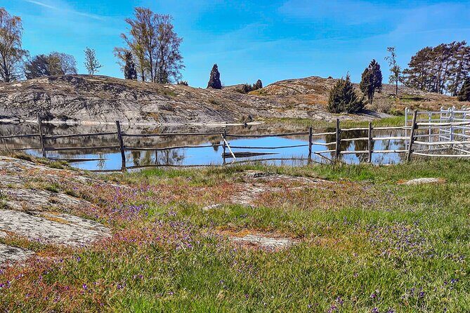 Private Guided Tour on Lake Vänern - Who Will Love This Tour?