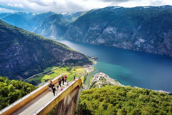 Private guided tour - Premium Nærøyfjord Cruise and Flåm Railway - The Value of This Tour