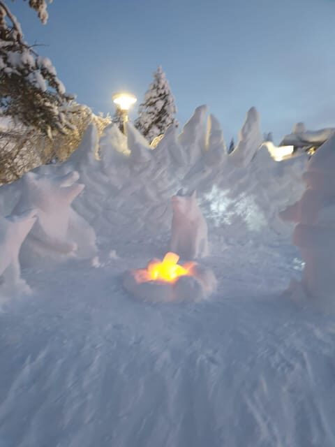 Private Guided Tour Rovaniemi To Kakslauttanen /Saariselka - FAQ