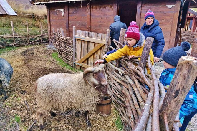 PRIVATE GUIDED TOUR: The Heart of Norway  Viking Special, 8-9 hours  WINTER - Transport and Comfort