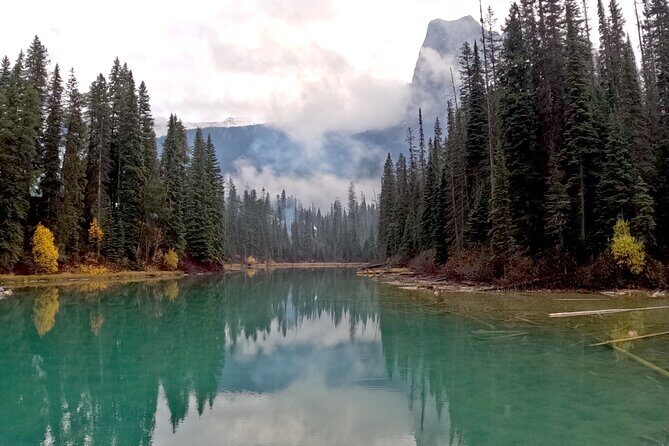 Private Guided Tour to Banff Lake Louise|Moraine|Icefields &More! - Peyto Lake