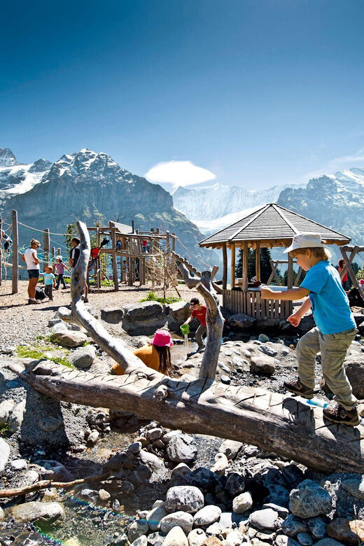 Private Guided Tour to Grindelwald First from Zurich - Key Points