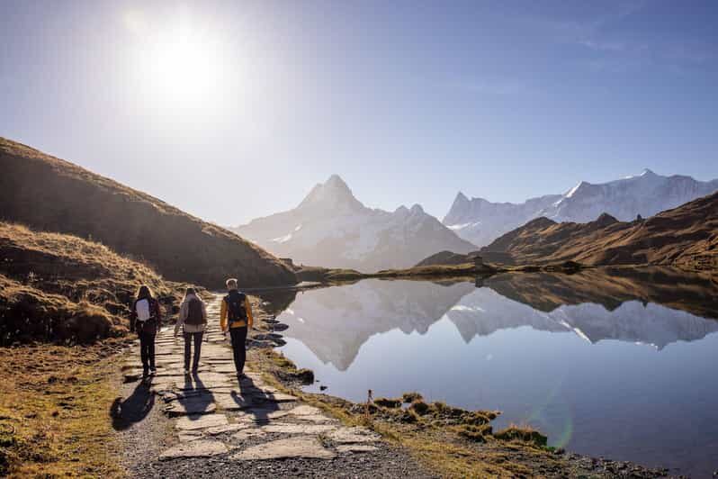 Private Guided Tour to Grindelwald First from Zurich - How the Tour Unfolds
