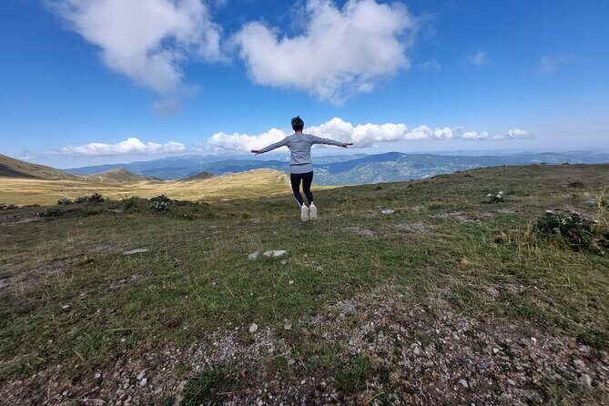 Private Guided Tour to Pisa and local Wine Farm from Livorno port - What to Expect from This Tour