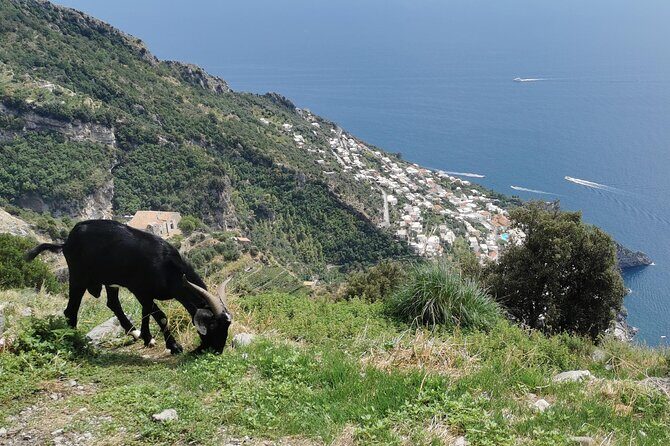 Private Guided Tour to the Path of the Gods - Half day - Final Thoughts