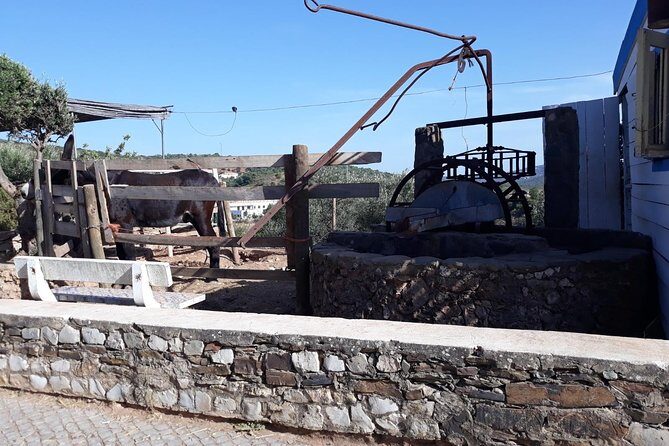 Private-Guided Tuk Tuk Country Side Tour - FAQ