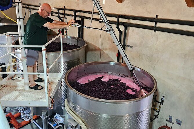 Private Guided Wine Tour of Napa Valley - What’s Included and What’s Not?