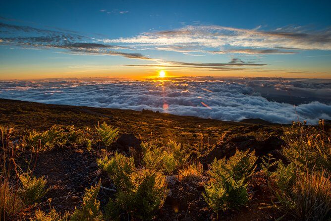 Private Haleakala Summit & Stroll from Kahului - Who Is This Tour Best For?