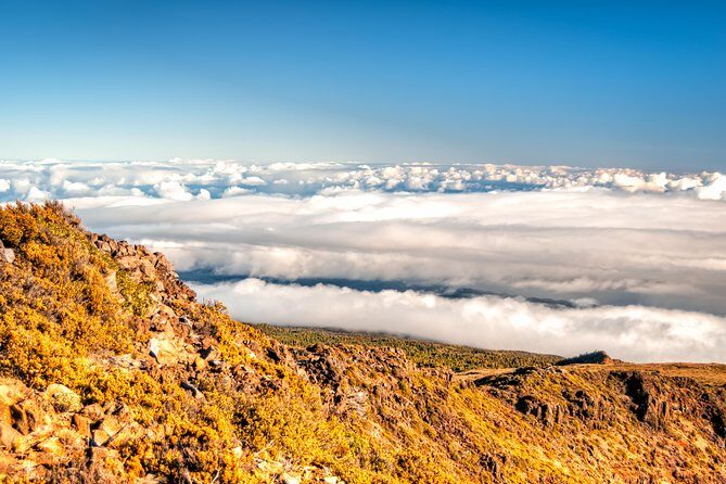 Private Haleakala Summit & Stroll from Kahului - Final Thoughts