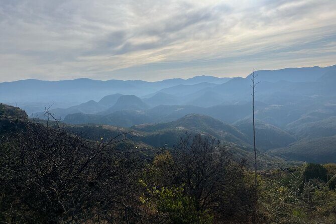 Private Half Day Bird Watching Experience - Why You Might Want to Try This Tour