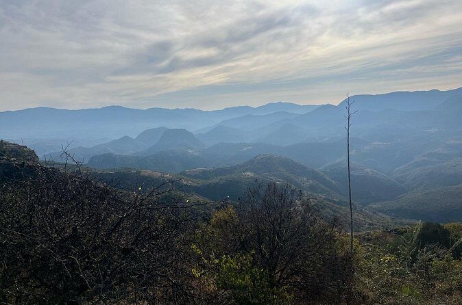 Private Half Day Bird Watching Experience - The Practical Details