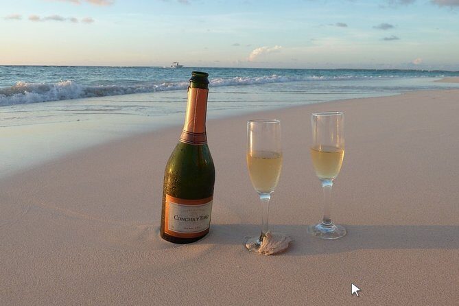 Private Half-Day Boat Tour in Ria Formosa from Faro - What to Expect from the Ria Formosa Private Boat Tour