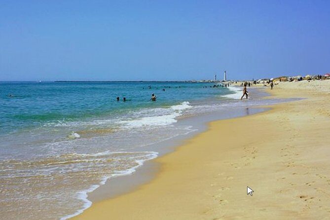 Private Half-Day Boat Tour in Ria Formosa from Faro - Is This Tour Right for You?