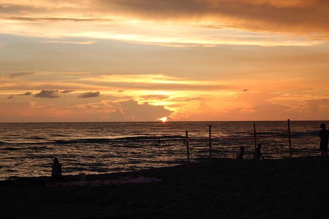 Private Half Day Boat Tour in Sarasota, Florida - Key Points